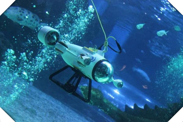 ROV